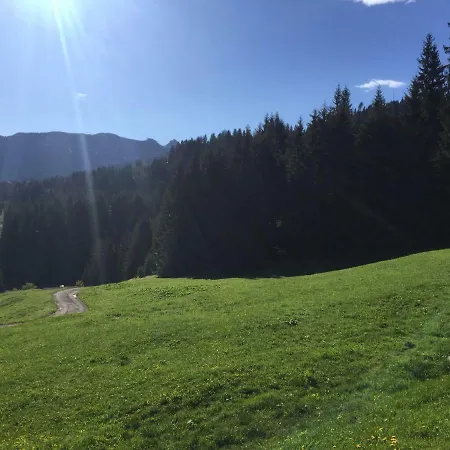 Bergheim Waldele Apartment Mittelberg